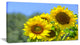 Beautiful Sunflowers View, Floral Canvas Art Print, 32"x16"