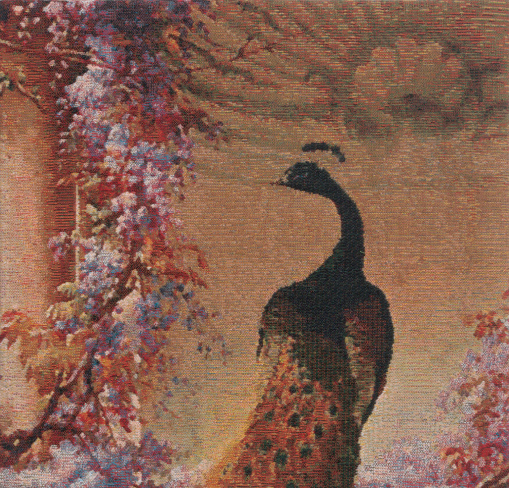 Peacock 1 Decorative Couch Pillow Cover