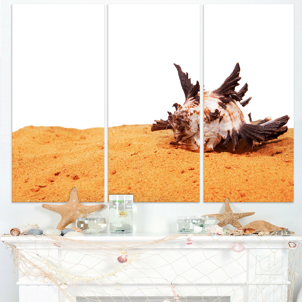 "Sea Shells on Sand" Canvas Wall Art, 3 Panels, 36"x28"