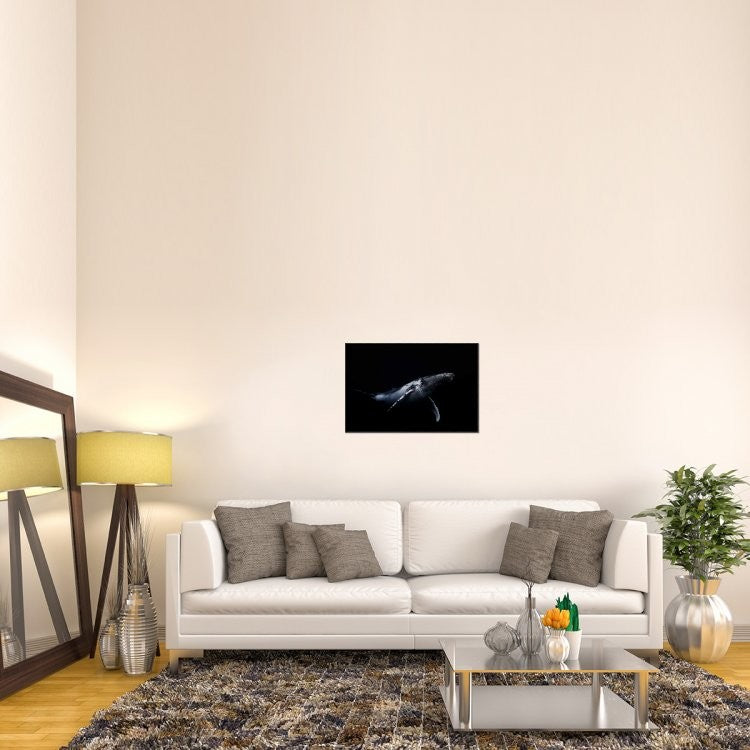 "Black and Whale" Framed Canvas Giclee by Barathieu Gabriel, 31x21"