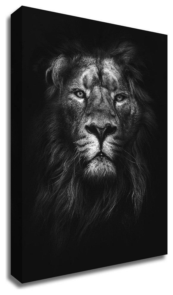 King of Kings by Design Fabrikken, Print on Canvas, 30"x42"