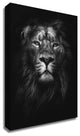 King of Kings by Design Fabrikken, Print on Canvas, 30"x42"