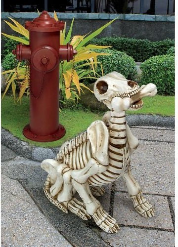 Fetch the Skeleton Dog