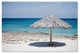 "Aruba Umbrella" Canvas Art by Yale Gurney, 22"x32"