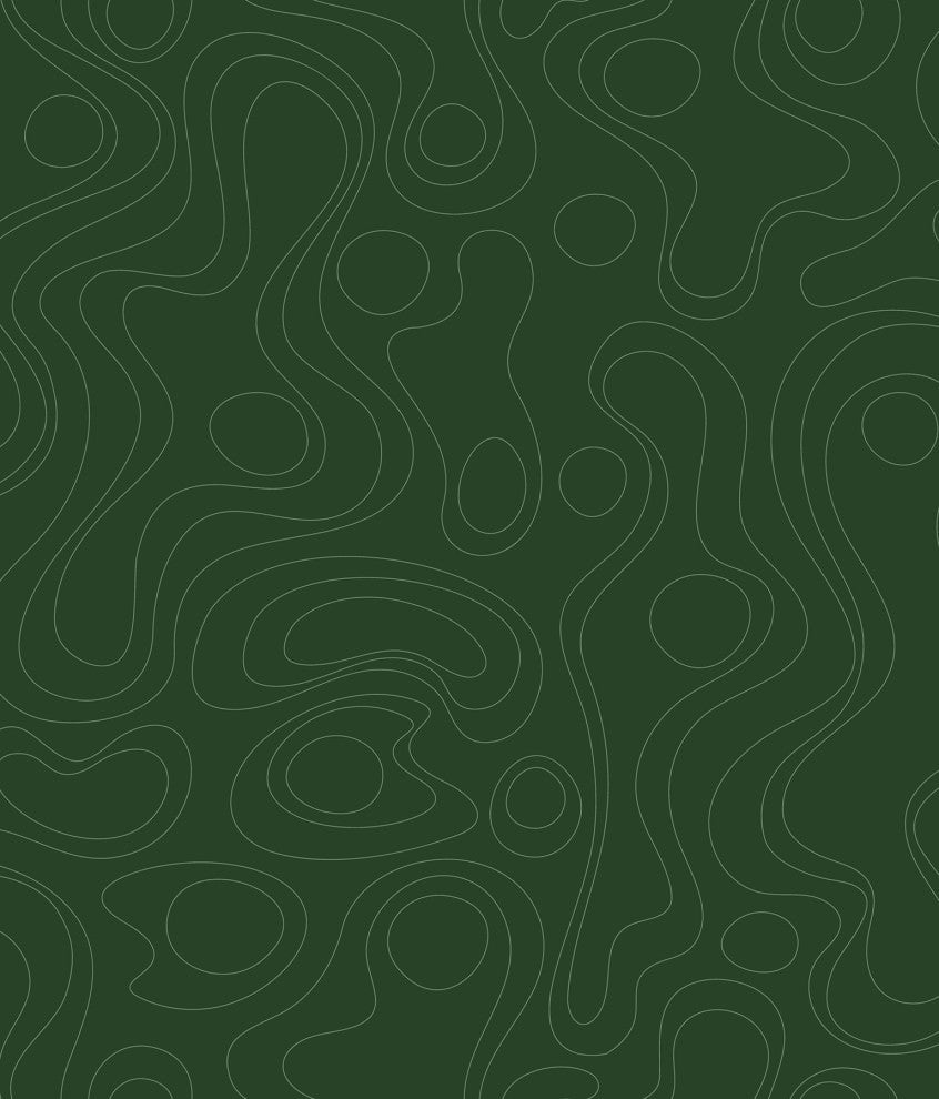 Emily Rayna Green Lineation Peel and Stick Wallpaper