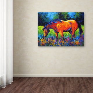 Marion Rose 'Mare II' Canvas Art, 47 x 35