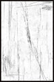 "Tangled Vines" Floater Framed Painting Print on Canvas, 16x24