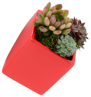 Large Cube Wall Planter, Red