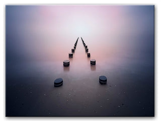 Alone in the Silence' Canvas Wall Decor