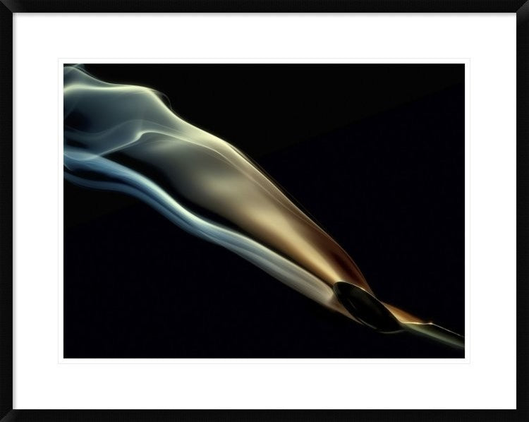 "Silk" Framed Digital Print by Aida Ianeva, 32x26"