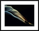 "Silk" Framed Digital Print by Aida Ianeva, 32x26"