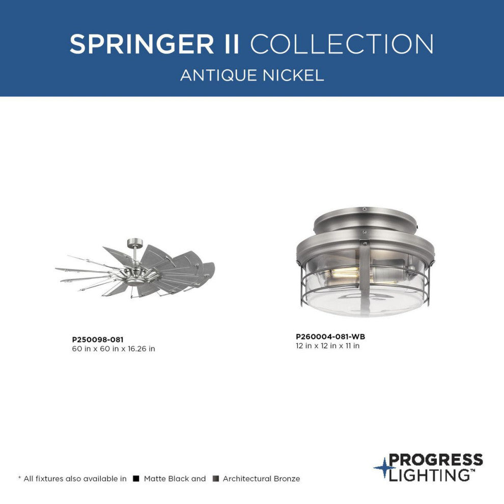 Springer II Collection Antique Nickel Rustic Light Kit for Ceiling Fan, Antique Nickel