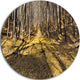 Majestic Autumn Forest Panorama, Landscape Disc Metal Artwork, 23"