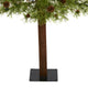 6' Wyoming Alpine Faux Xmas Tree W/ Clear Lights & Pine Cones on Natural Trunk