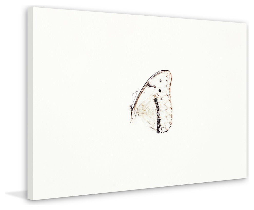 Marmont Hill, "Fragility" by Morgan Hartley Painting on Wrapped Canvas, 60x40