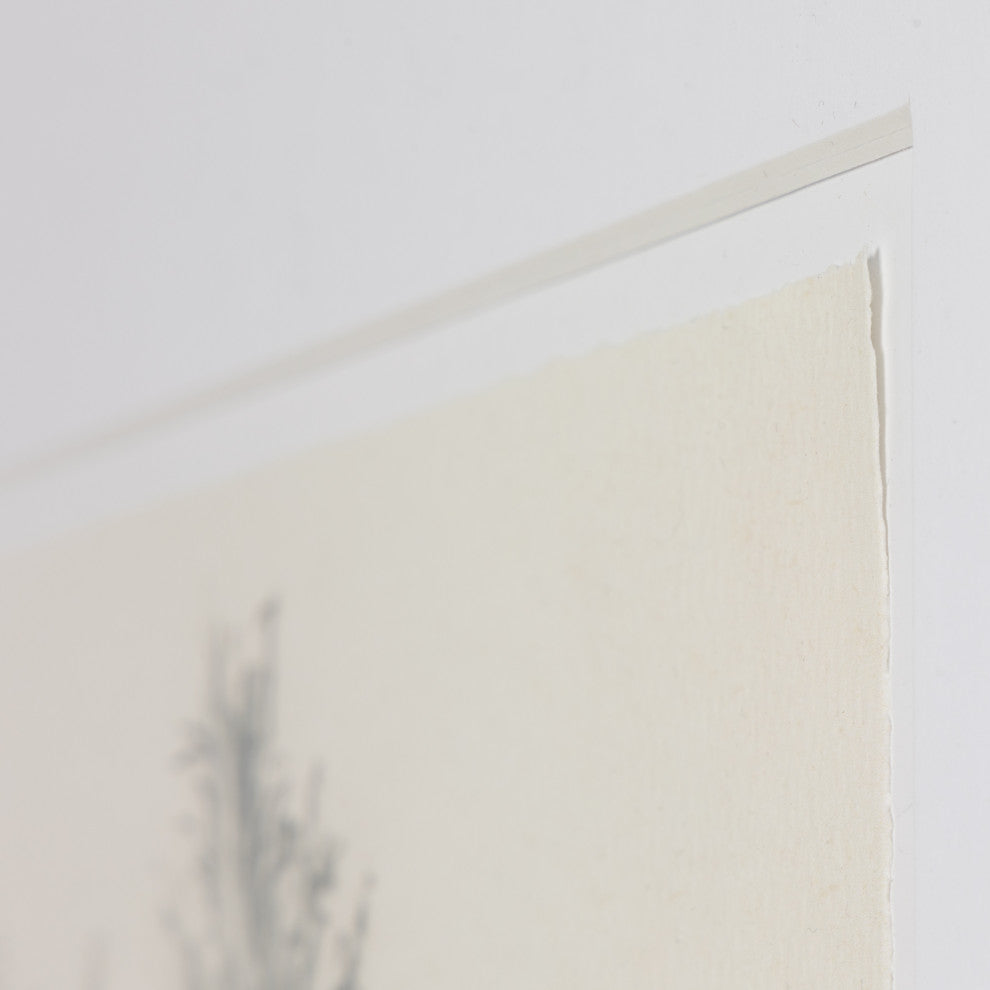 Tree Sketch By Dan Hobday