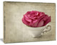 Red Rose in Cup Photography, Floral Canvas Art Print, 20"x12"
