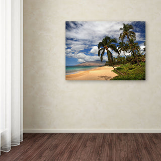 'Kamaole Tropical' Canvas Art by Pierre Leclerc