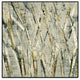 "Birches V" Oversized Framed Canvas, 45" x 45"