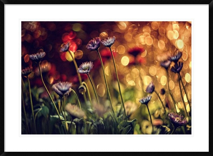 "Untitled" Framed Digital Print by Dimitar Lazarov, 38"x28"