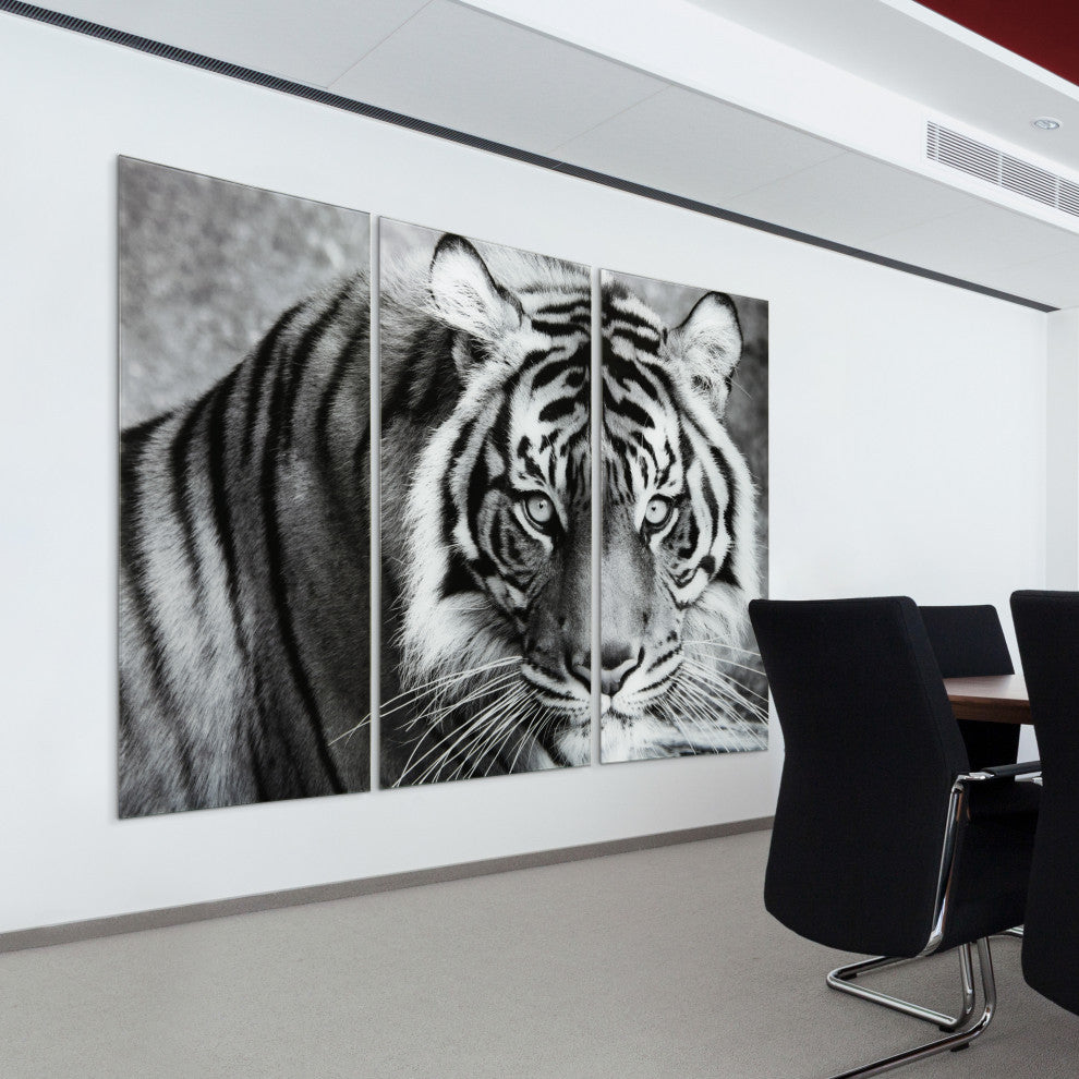 "Tiger ABC" Frameless Free Floating Tempered Glass Panel Graphic Wall Art Set