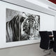 "Tiger ABC" Frameless Free Floating Tempered Glass Panel Graphic Wall Art Set