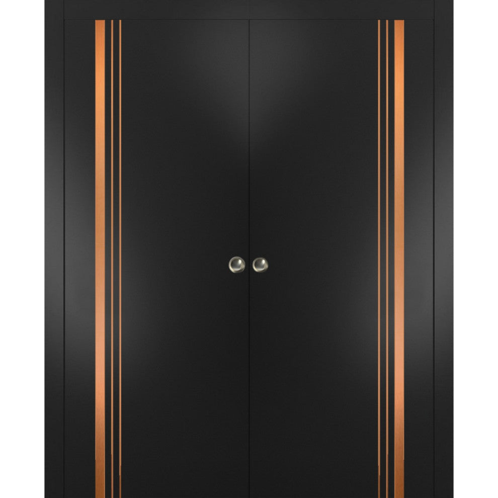 French Double Pocket Doors 72x84 | Planum 1010 Matte Black | Kit Trims Rail