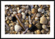 "Selection of bivalve shells" Framed Digital Print by Jan Vermeer, 44x32"