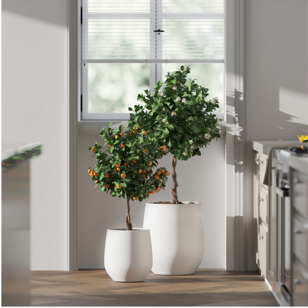 DTY Signature Mount Wilson 1-piece Fiberstone Tapered Planter, White, Medium