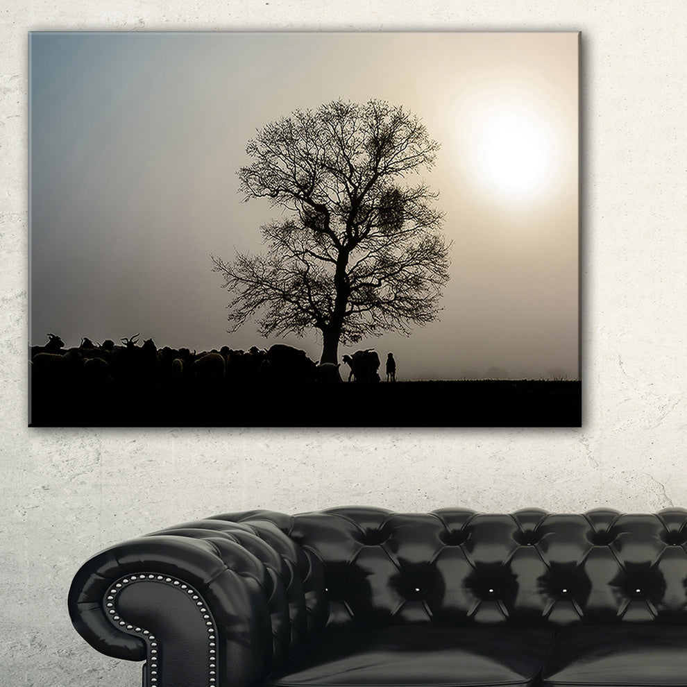 "Frosty Spring Morning Sunrise With Tree" Landscape Wall Artwork