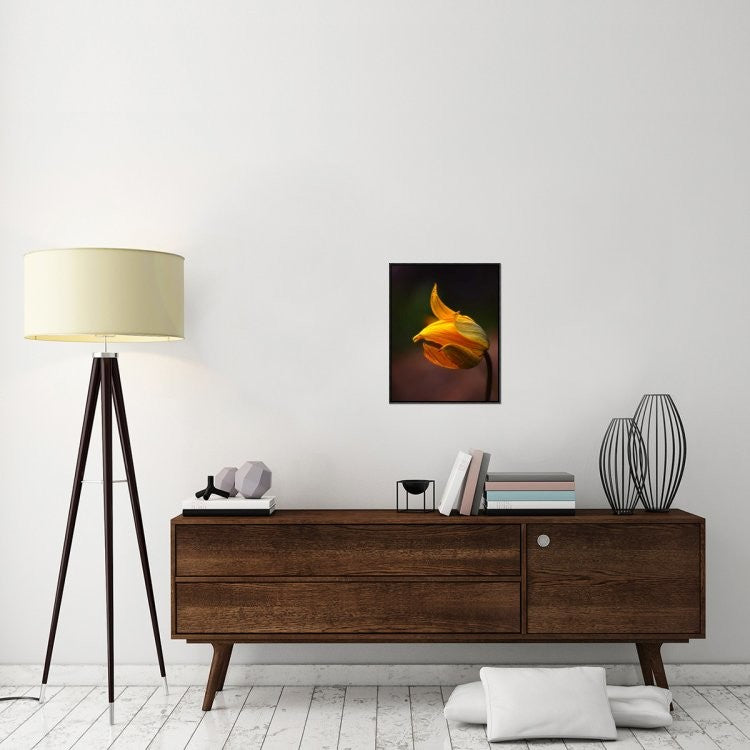 "Shine" Framed Canvas Giclee by Kent Mathiesen, 18x23"