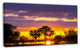 Colorful Flooded Field At Sunset, Landscape Wall Art on Canvas, 32"x16"