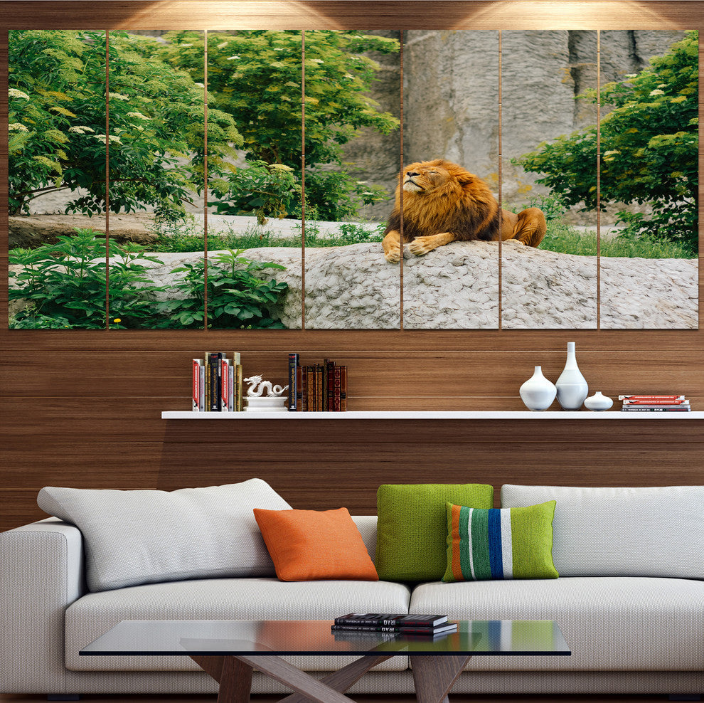 Big Lion Lying On Stones in Zoo, Landscape Canvas Art Print, 83"x32", 7 Panels