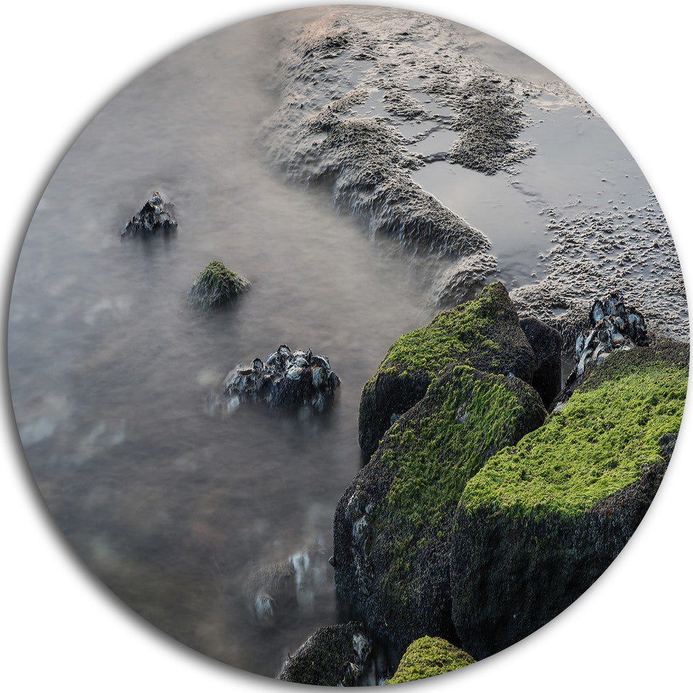 Green Rocks In Beautiful Sydney Coastline, Seashore Disc Artwork, 23"