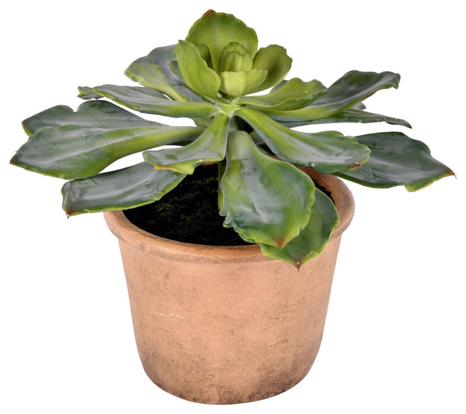Vickerman FE192510 9" Artificial Succulent, Paper Pot