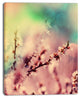 Blossoming Pink Cherry Branches, Floral Art Canvas Print, 12"x20"