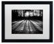 PIPA Fine Art ''Winter Shadows'' Matted Framed Art, 20x16
