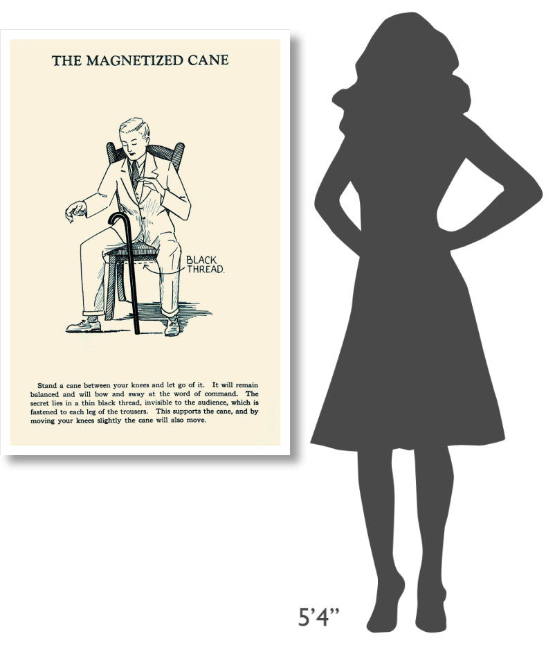 "The Magnetized Cane" Digital Paper Print by Retromagic, 31"x46"