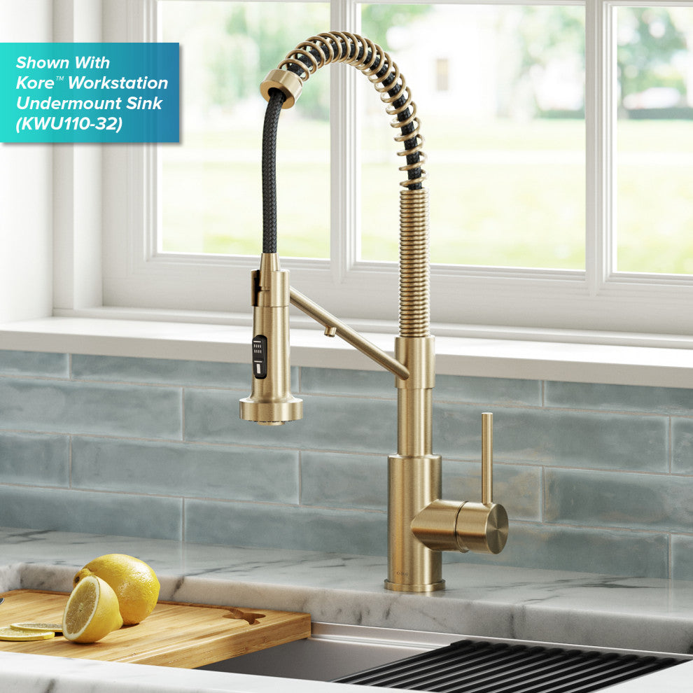 Bolden Commercial Style 2-Function Pull-Down 1-Handle 1-Hole Kitchen Faucet, Spot Free Antique Champagne Bronze (Filter Faucet)