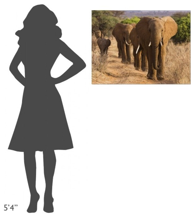 "Herd of African Elephants, Kenya" Stretched Canvas Giclee by Anonymous, 32x24"