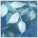 "Ink Leaves I" Digital Paper Print by Sue Schlabach, 32"x32"