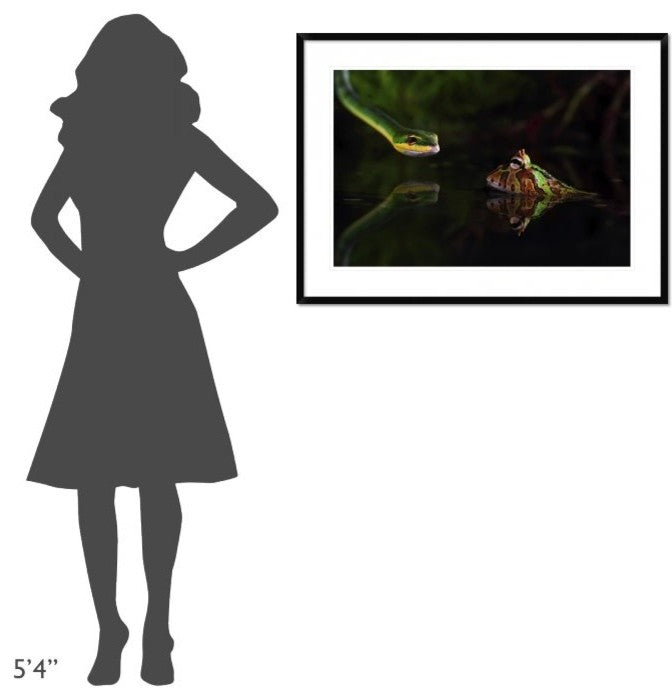 "Courage" Framed Digital Print by Shikhei Goh, 38"x28"
