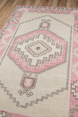 Anatolia ANA-2 Machine Made Pink Area Rug 2'x3'