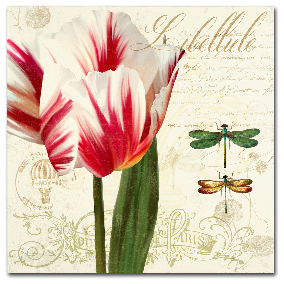 Tina Lavoie 'Natural History Sketchbook I' Canvas Art, 14" x 14"