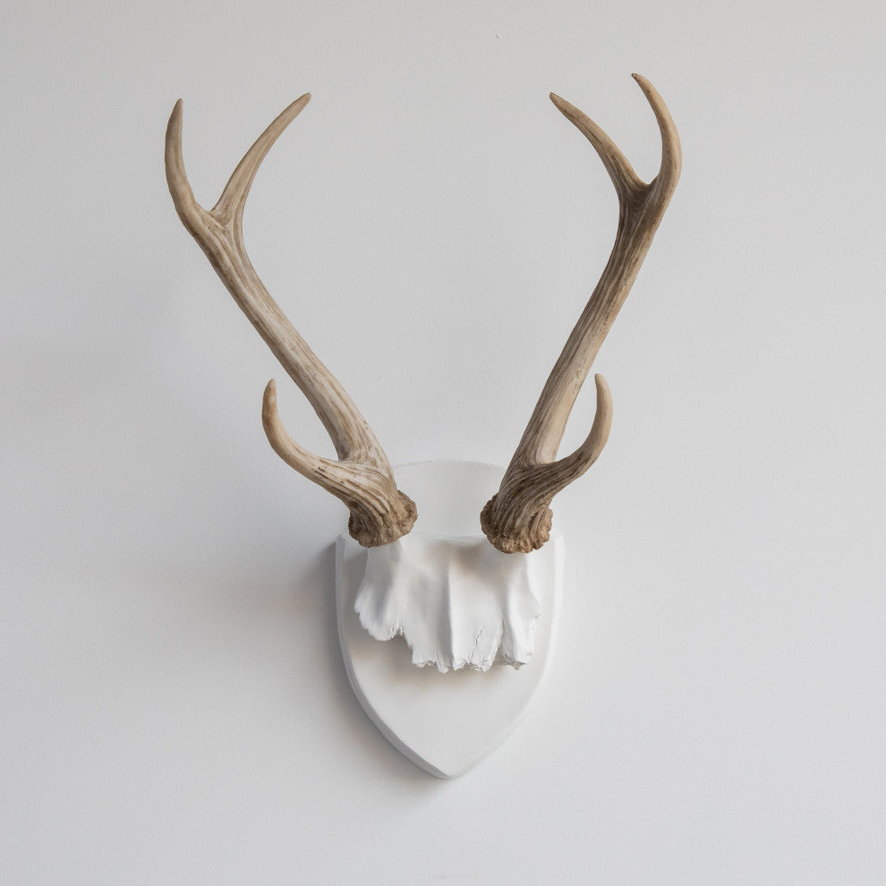 Deer Antler Mount, White Antlers And Plaque, White, Natural