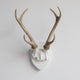 Deer Antler Mount, White Antlers And Plaque, White, Natural