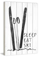 "Sleep Eat Ski" Painting Print on White Wood, 24"x36"