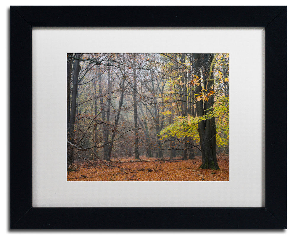 Cora Niele 'Hazy Wood' Matted Framed Art