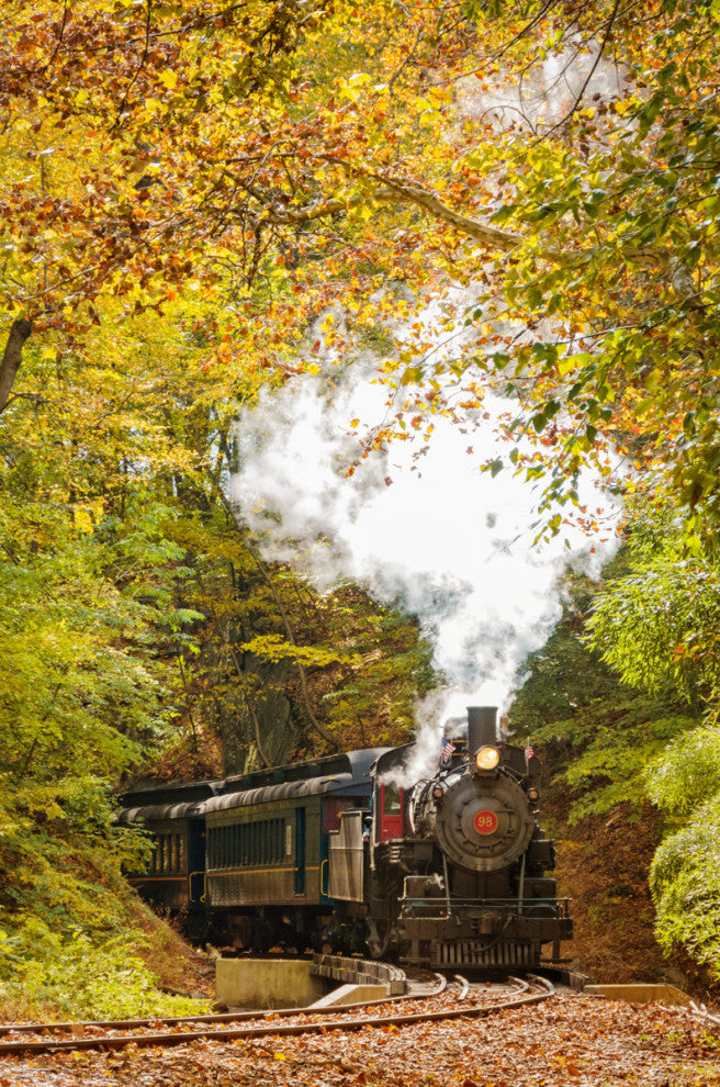 Wall Art Print Steam Train with Autumn Foliage Landscape Photo Unframed, 8" X 10"