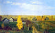 Isaac Ilich Levitan Golden Autumn Village Wall Decal